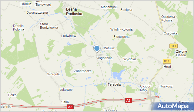 mapa Jagodnica, Jagodnica gmina Leśna Podlaska na mapie Targeo